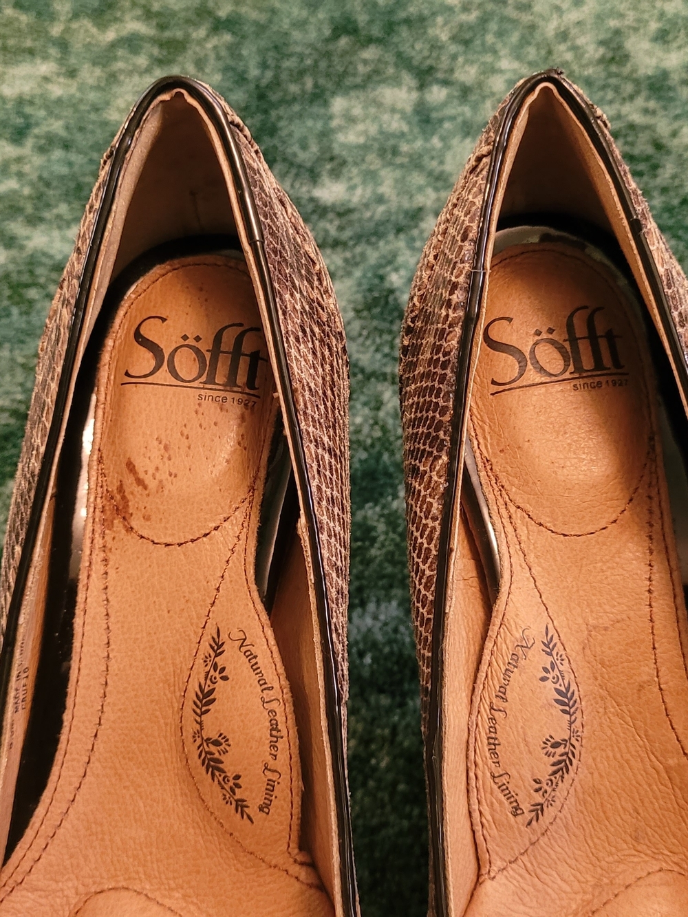 NWT Snake-Print Sofft Leather Pump - Picture 4 of 9